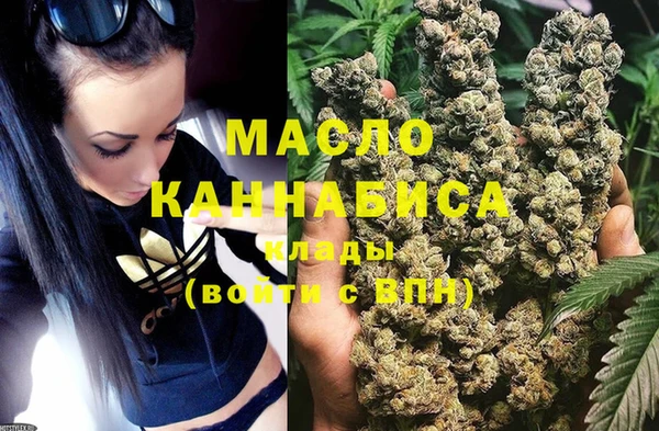шишки Братск