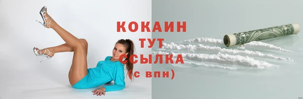 шишки Братск