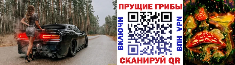 Галлюциногенные грибы прущие грибы  Купить где  Тайга 